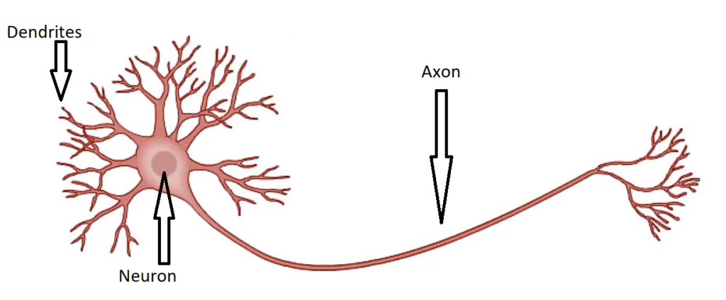 Implementation of Artificial Neural Network in Python