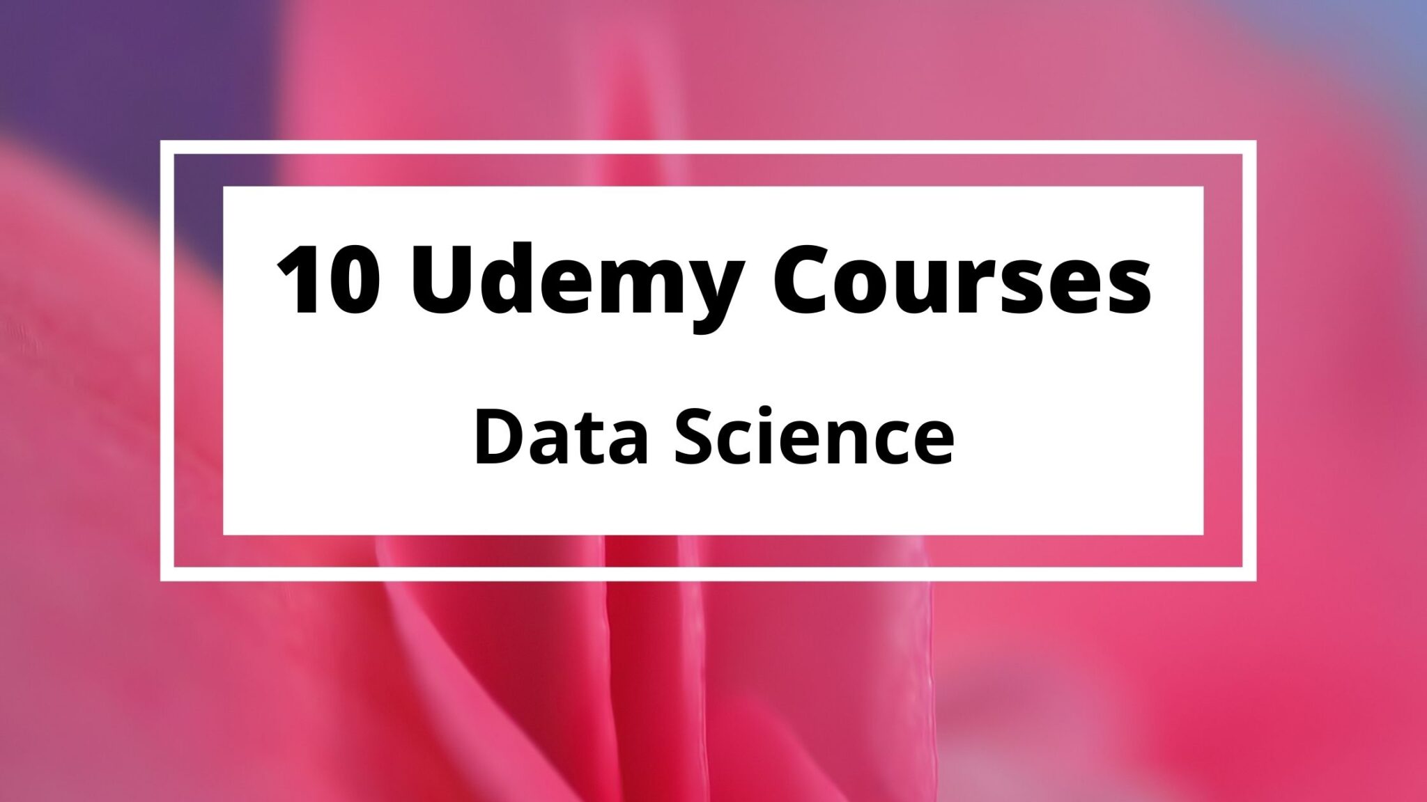 10 Best Courses on Udemy for Data Science You Must Know 2024