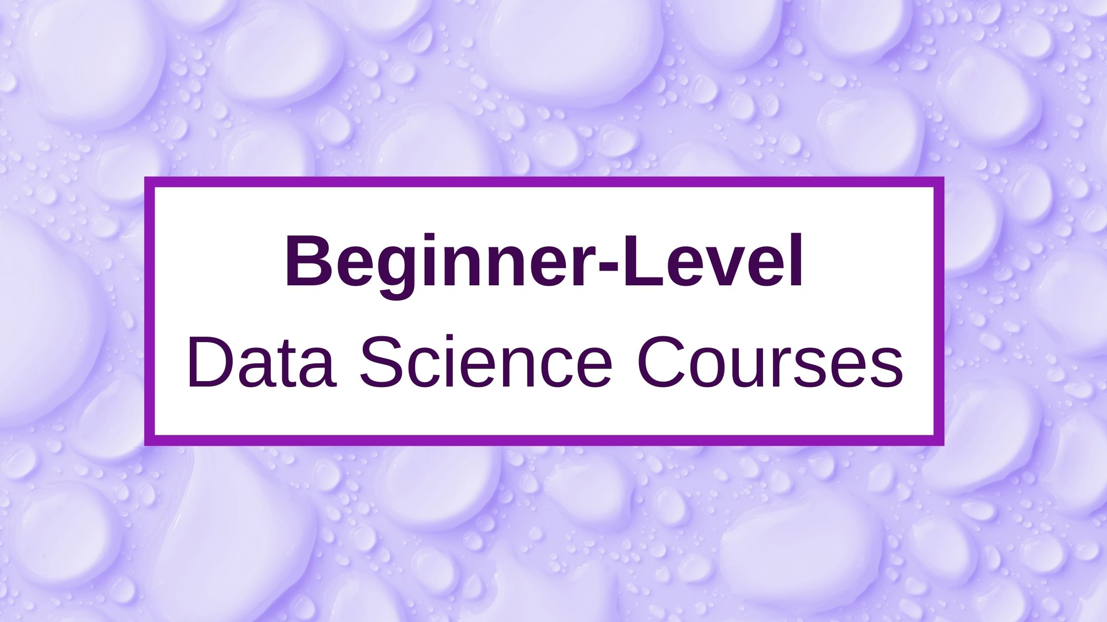 8 Best Online Courses For Data Science For Beginners In 2024