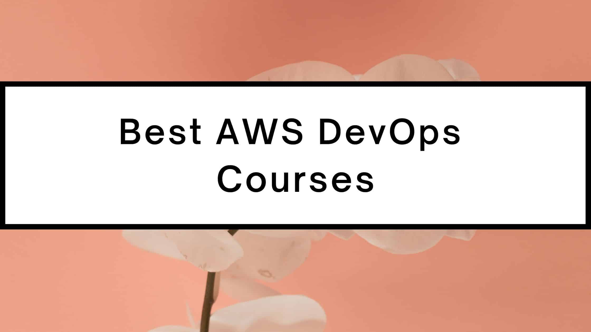 Latest Braindumps AWS-DevOps-Engineer-Professional Ppt